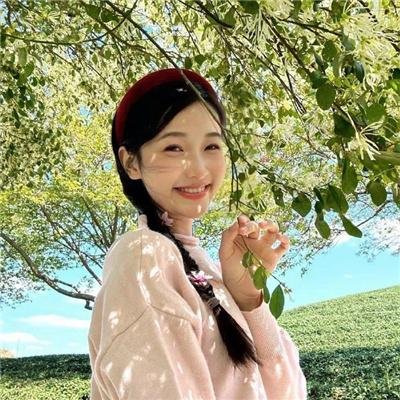 神勇飞虎霸王花